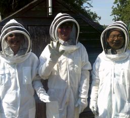 New Beehive Donated To School